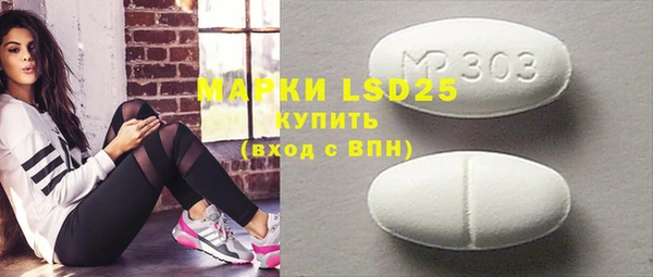 прущие грибы Вязники