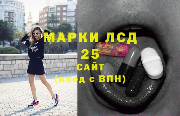 прущие грибы Вязники