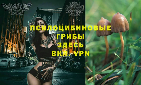 кокаин Вяземский