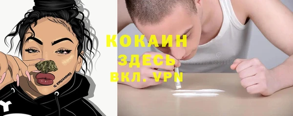 прущие грибы Вязники