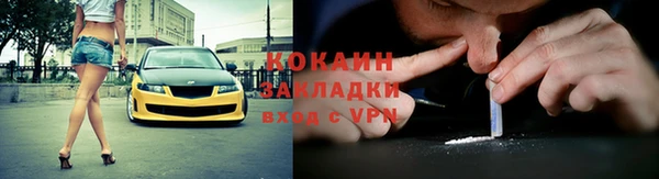прущие грибы Вязники
