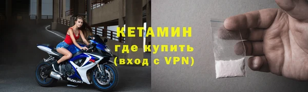 прущие грибы Вязники