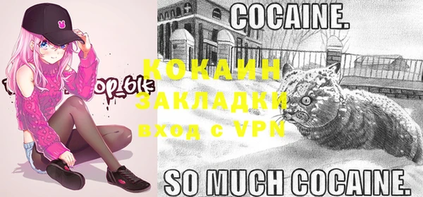 прущие грибы Вязники
