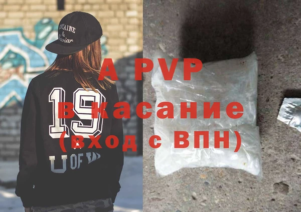 прущие грибы Вязники